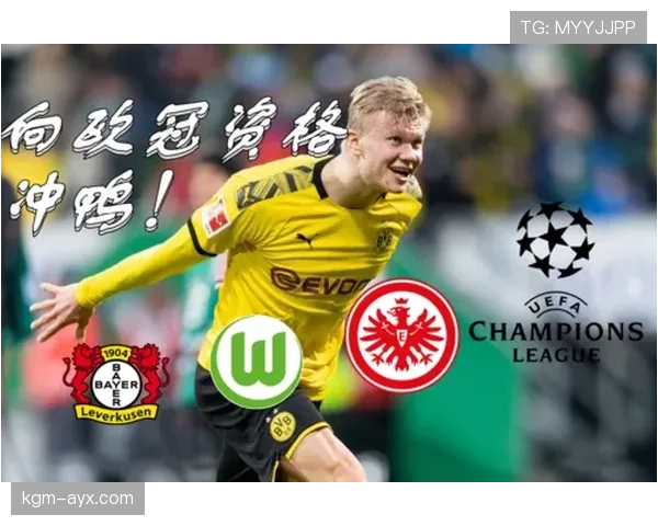 哈兰德深情回顾德甲岁月：那段经历激励我不断成长与直面挑战