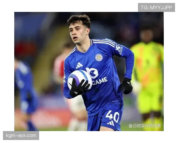 莱斯特城转会窗积极引援，剑指重返英超巅峰