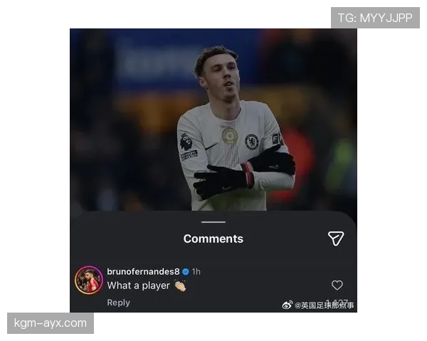 帕尔默足球潜力持续攀升，年轻新星表现引球迷热议